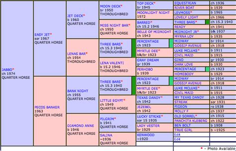 all breed pedigree horse|all breeds pedigree chart.